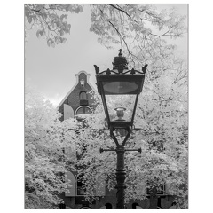 darktable.2YNMS1