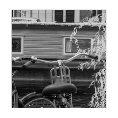 darktable.1YGWS1