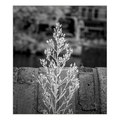 darktable.AARKS1