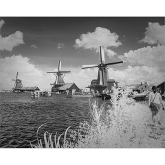 darktable.5IEHS1