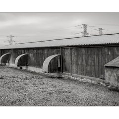 darktable.YC8DW1