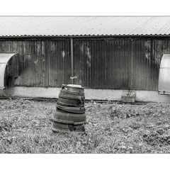 darktable.7K3MW1