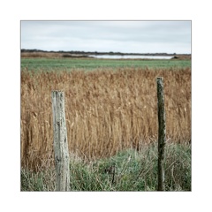 darktable.KLZBW1