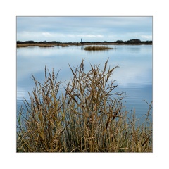 darktable.M2KGW1