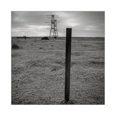 darktable.EYZDW1