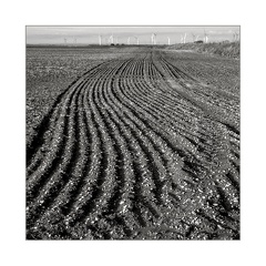 darktable.9GSNW1