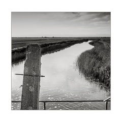 darktable.8W4AW1