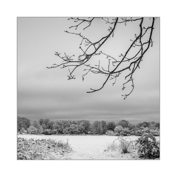 XT108665.jpg