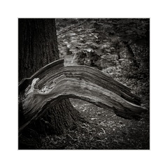 A7R00866