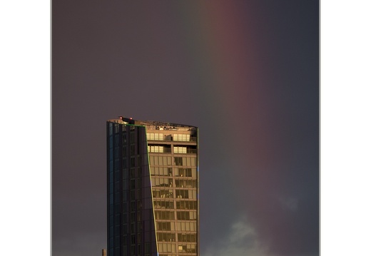 P1100004