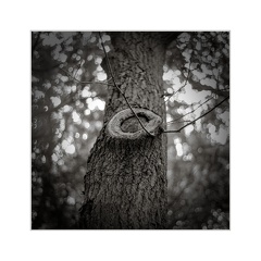 A7R00824