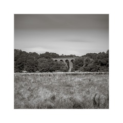 A7R00804