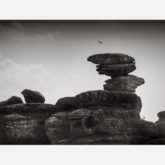 A7R00538
