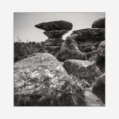A7R00526