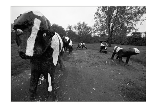 attackoftheconcretecows