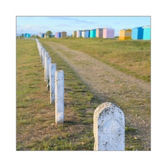 A7R01373