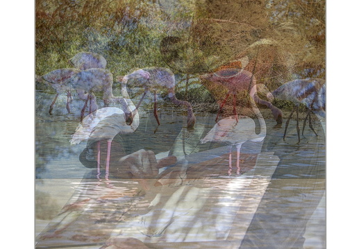 IMG 9227-IMG 9366-IMG 9373