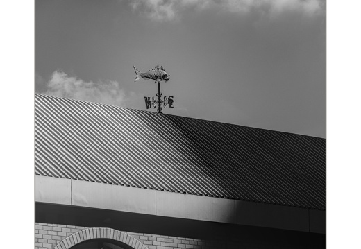 XT101079