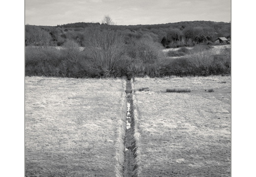 Arlington reservoir & Hailsham