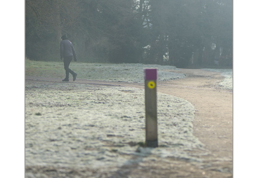A7403867