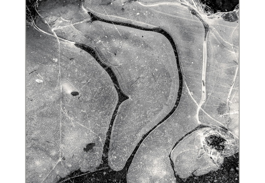 Beckenham Place Park 2025