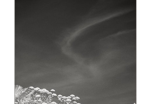 Hall Place, Bexley 2025