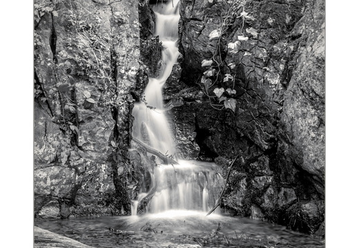 Chelwood vachery lost garden